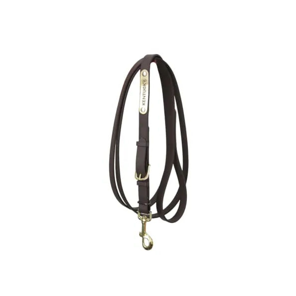 Kentucky Presentation Lead Brown