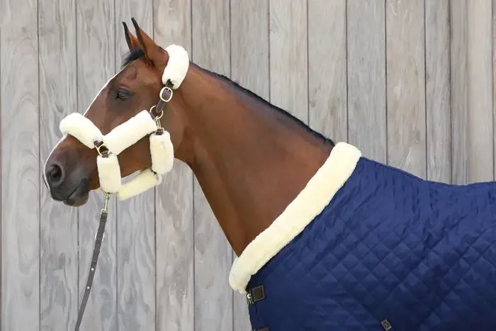 Kentucky Presentation Lead Brown