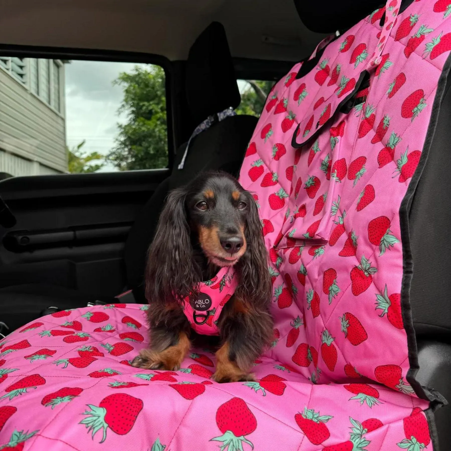 Strawberries Single Car Seat Cover