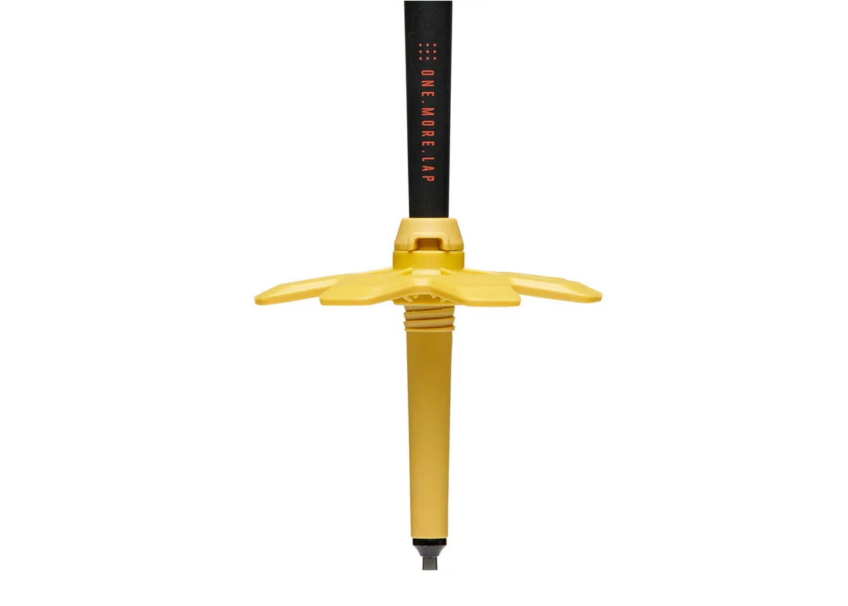 Traverse 3 Ski Poles