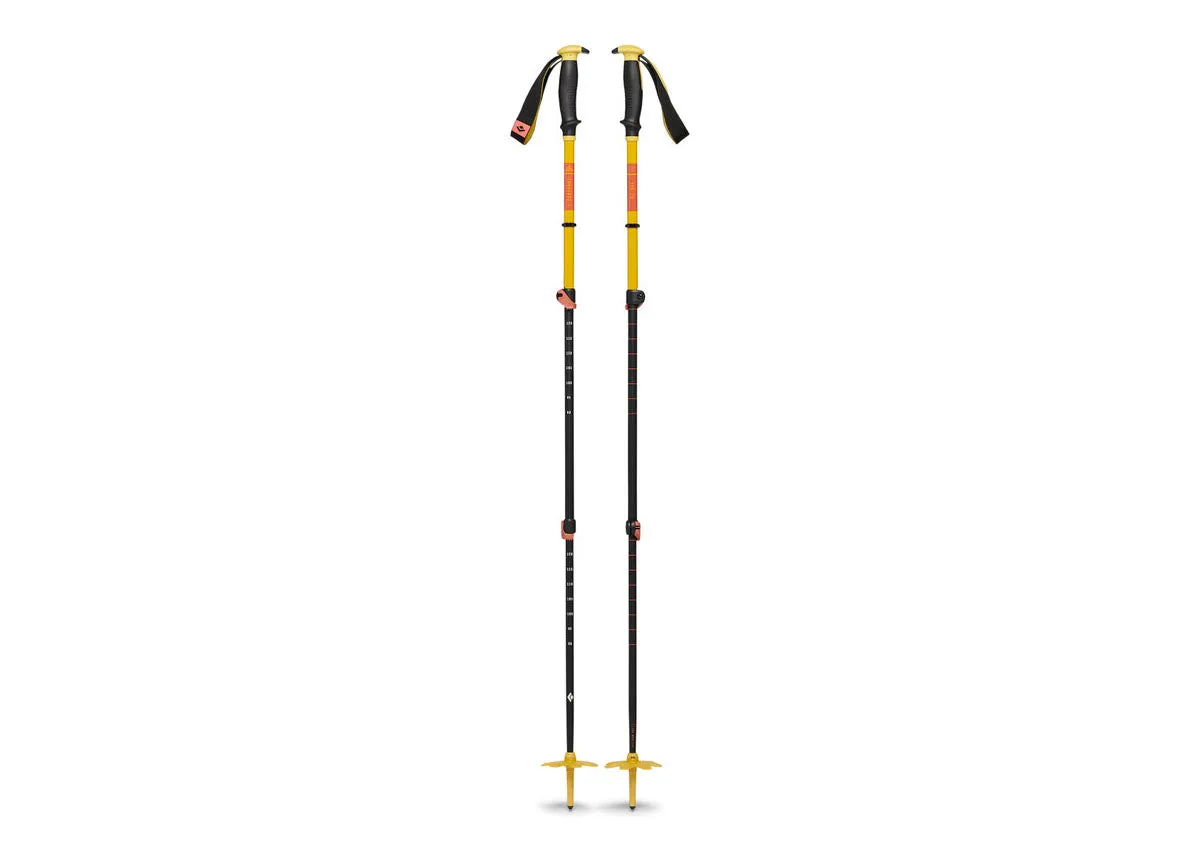 Traverse 3 Ski Poles