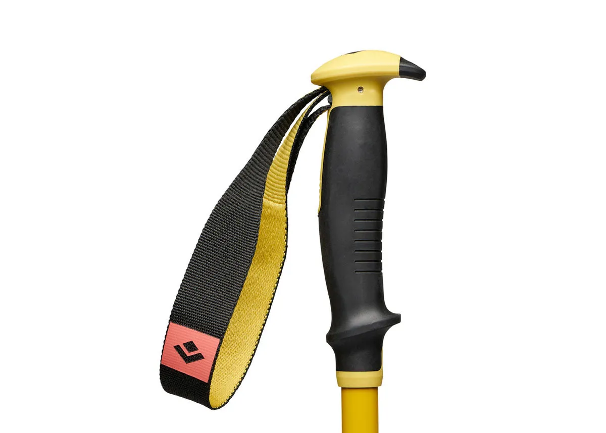 Traverse 3 Ski Poles