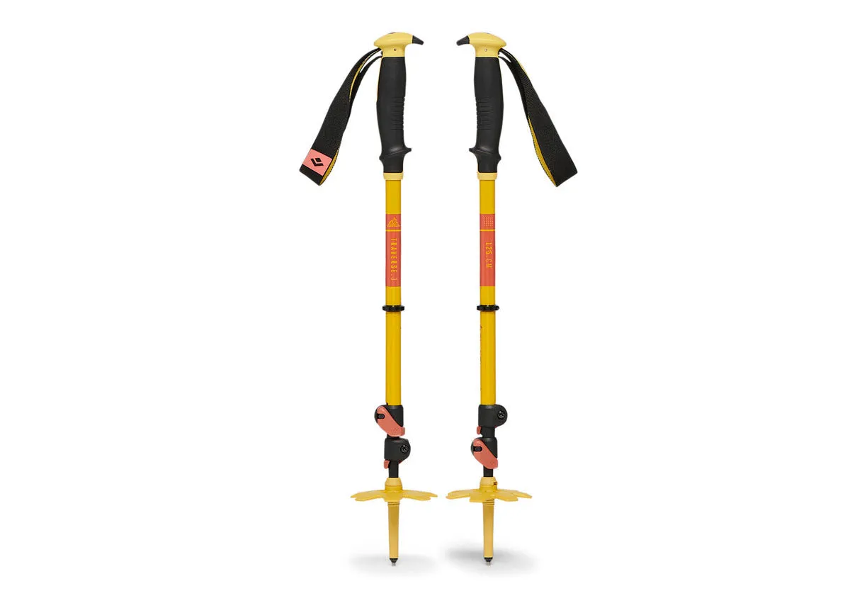 Traverse 3 Ski Poles